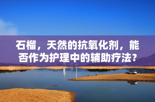 石榴，天然的抗氧化剂，能否作为护理中的辅助疗法？