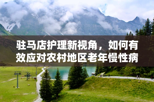 驻马店护理新视角，如何有效应对农村地区老年慢性病患者的护理挑战？