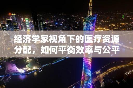 经济学家视角下的医疗资源分配，如何平衡效率与公平？