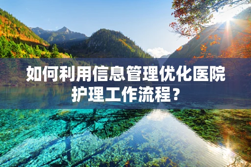 如何利用信息管理优化医院护理工作流程？
