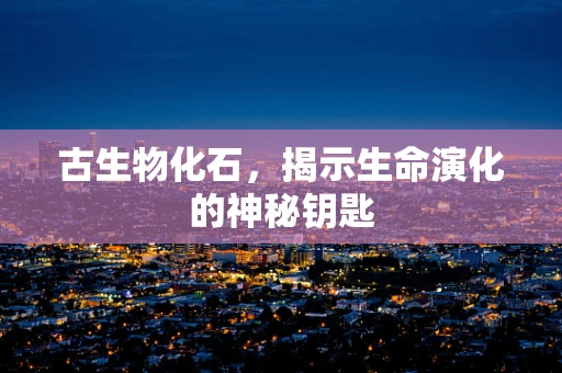 古生物化石，揭示生命演化的神秘钥匙