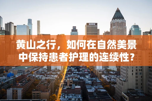 黄山之行，如何在自然美景中保持患者护理的连续性？