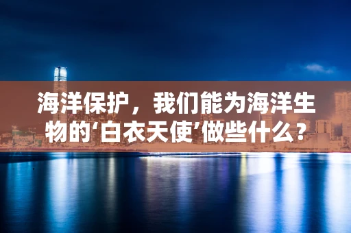 海洋保护，我们能为海洋生物的‘白衣天使’做些什么？