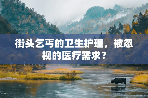 街头乞丐的卫生护理，被忽视的医疗需求？