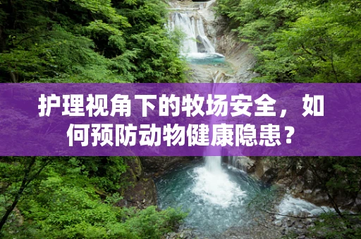 护理视角下的牧场安全，如何预防动物健康隐患？