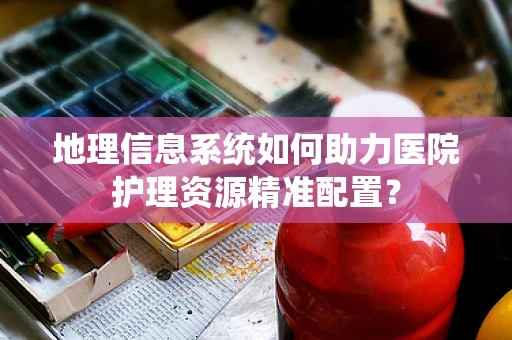 地理信息系统如何助力医院护理资源精准配置？