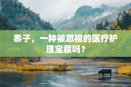 黍子，一种被忽视的医疗护理宝藏吗？