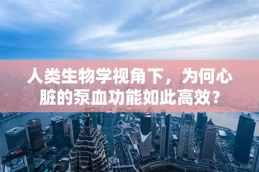 人类生物学视角下，为何心脏的泵血功能如此高效？