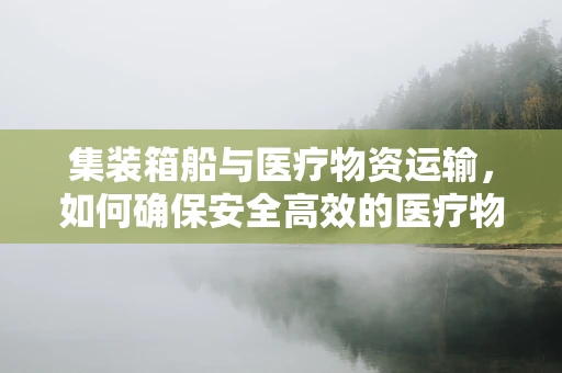 集装箱船与医疗物资运输，如何确保安全高效的医疗物资输送？