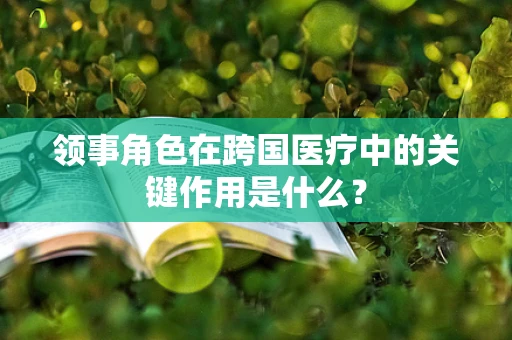 领事角色在跨国医疗中的关键作用是什么？