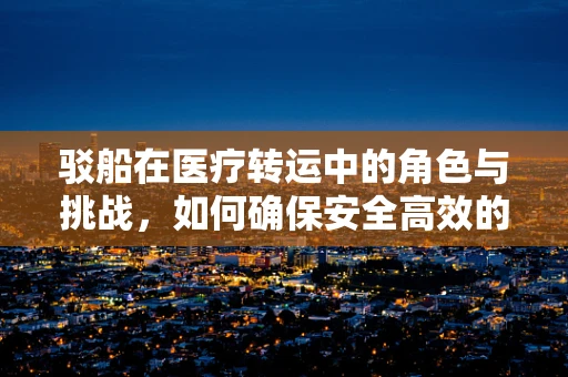 驳船在医疗转运中的角色与挑战，如何确保安全高效的病患转移？