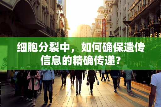 细胞分裂中，如何确保遗传信息的精确传递？