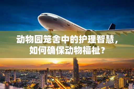 动物园笼舍中的护理智慧，如何确保动物福祉？
