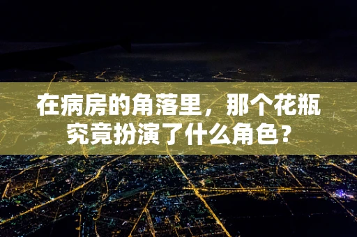 在病房的角落里，那个花瓶究竟扮演了什么角色？