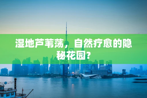 湿地芦苇荡，自然疗愈的隐秘花园？