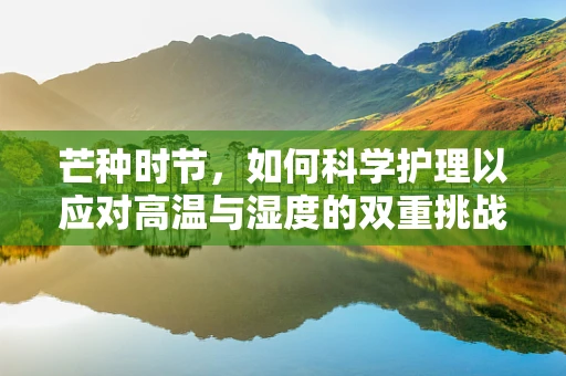 芒种时节，如何科学护理以应对高温与湿度的双重挑战？