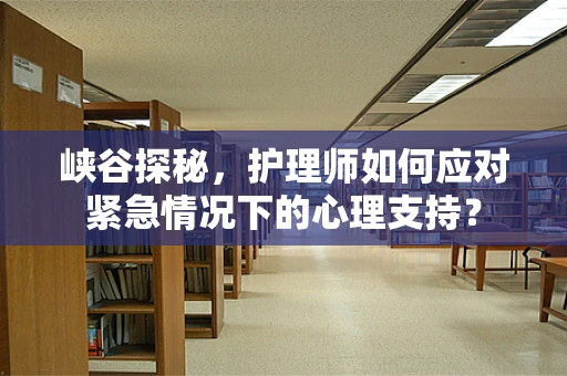 峡谷探秘，护理师如何应对紧急情况下的心理支持？