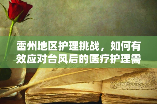 雷州地区护理挑战，如何有效应对台风后的医疗护理需求？