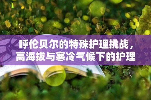呼伦贝尔的特殊护理挑战，高海拔与寒冷气候下的护理策略