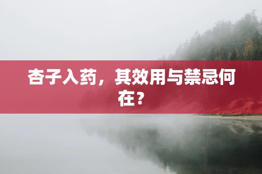 杏子入药，其效用与禁忌何在？