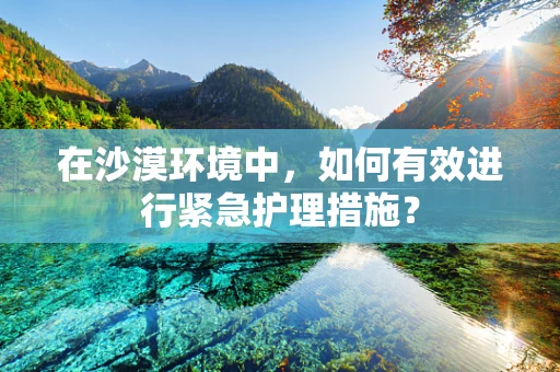 在沙漠环境中，如何有效进行紧急护理措施？