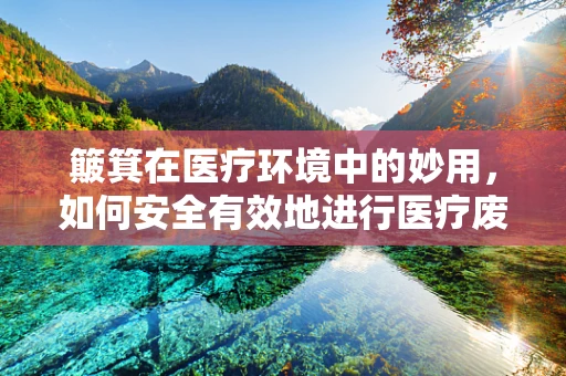 簸箕在医疗环境中的妙用，如何安全有效地进行医疗废物处理？