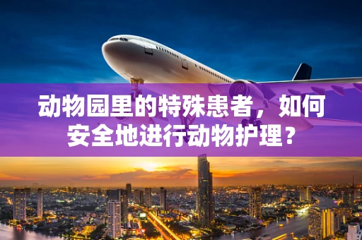 动物园里的特殊患者，如何安全地进行动物护理？