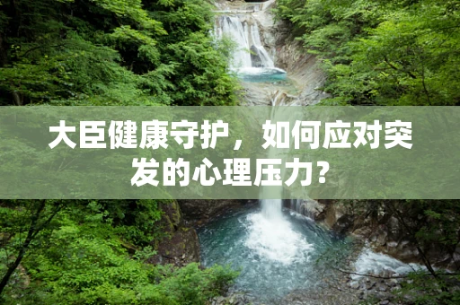 大臣健康守护，如何应对突发的心理压力？
