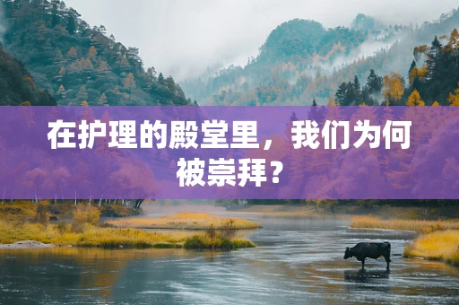 在护理的殿堂里，我们为何被崇拜？