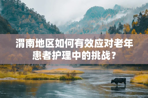 渭南地区如何有效应对老年患者护理中的挑战？