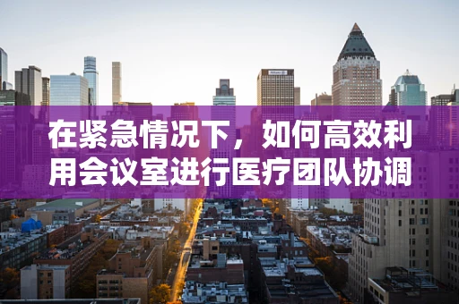 在紧急情况下，如何高效利用会议室进行医疗团队协调？