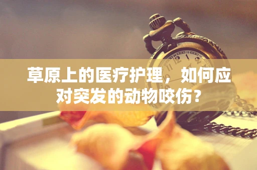 草原上的医疗护理，如何应对突发的动物咬伤？