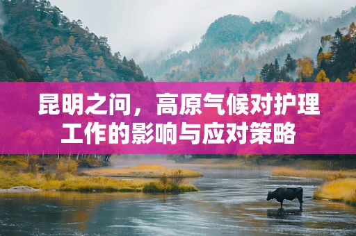 昆明之问，高原气候对护理工作的影响与应对策略