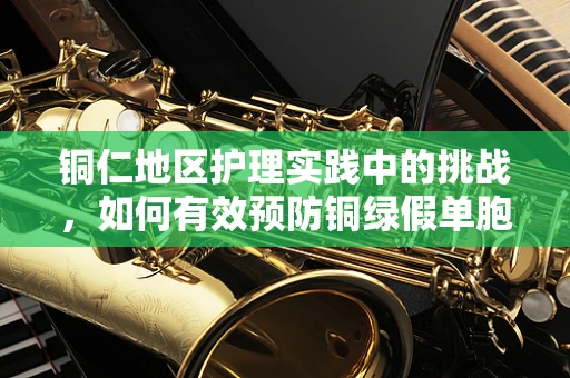 铜仁地区护理实践中的挑战，如何有效预防铜绿假单胞菌感染？