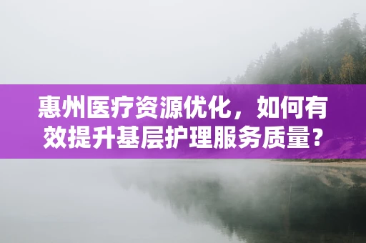 惠州医疗资源优化，如何有效提升基层护理服务质量？