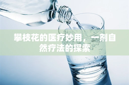 攀枝花的医疗妙用，一剂自然疗法的探索
