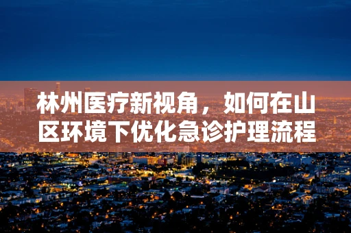 林州医疗新视角，如何在山区环境下优化急诊护理流程？