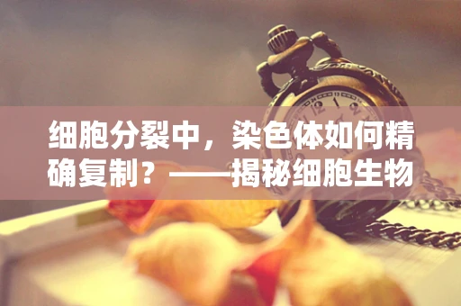 细胞分裂中，染色体如何精确复制？——揭秘细胞生物学的奥秘