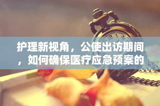 护理新视角，公使出访期间，如何确保医疗应急预案的周全性？