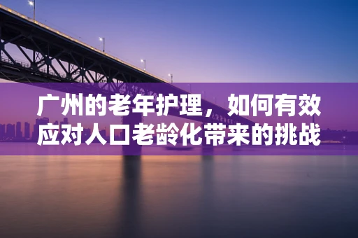广州的老年护理，如何有效应对人口老龄化带来的挑战？