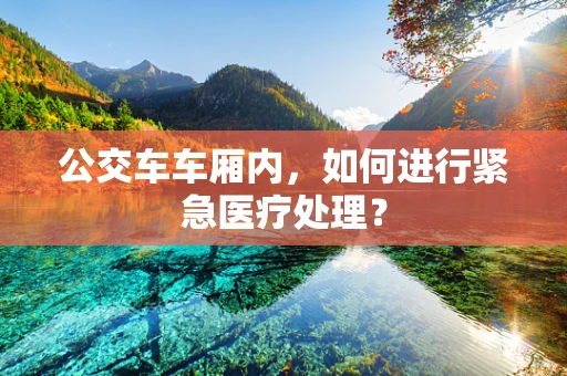 公交车车厢内，如何进行紧急医疗处理？