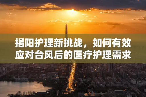揭阳护理新挑战，如何有效应对台风后的医疗护理需求？