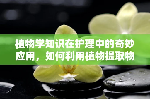 植物学知识在护理中的奇妙应用，如何利用植物提取物促进伤口愈合？