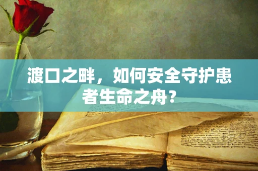 渡口之畔，如何安全守护患者生命之舟？