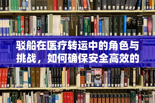 驳船在医疗转运中的角色与挑战，如何确保安全高效的病患转移？