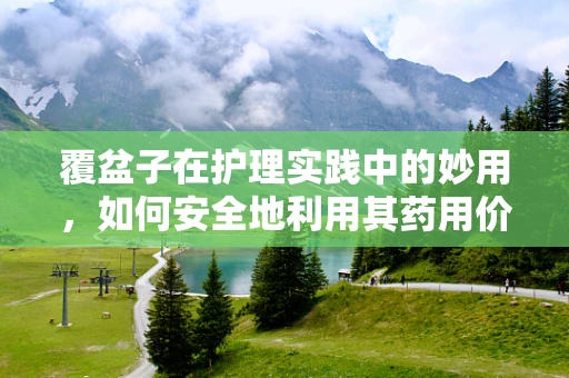 覆盆子在护理实践中的妙用，如何安全地利用其药用价值？