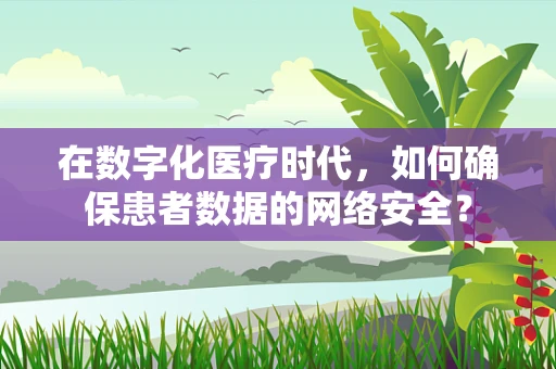 在数字化医疗时代，如何确保患者数据的网络安全？
