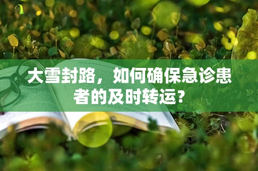 大雪封路，如何确保急诊患者的及时转运？