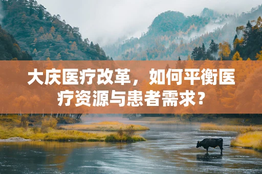 大庆医疗改革，如何平衡医疗资源与患者需求？