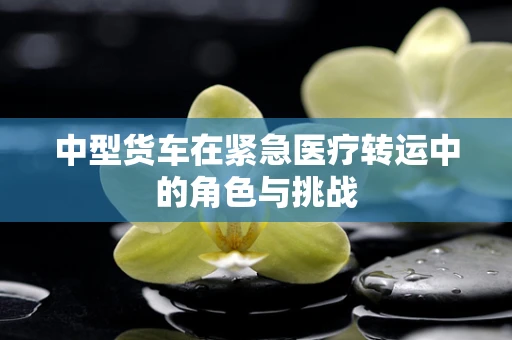 中型货车在紧急医疗转运中的角色与挑战